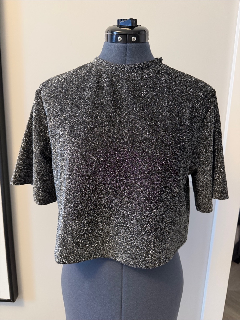 NWT Sparkle Short Sleeve Crop Top